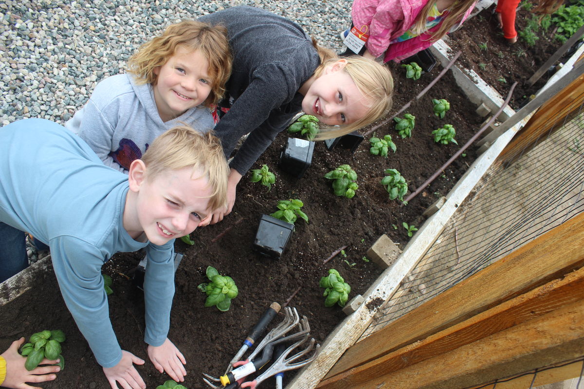 Herb Garden 1B