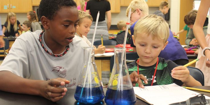 classroom buddies -boys -science