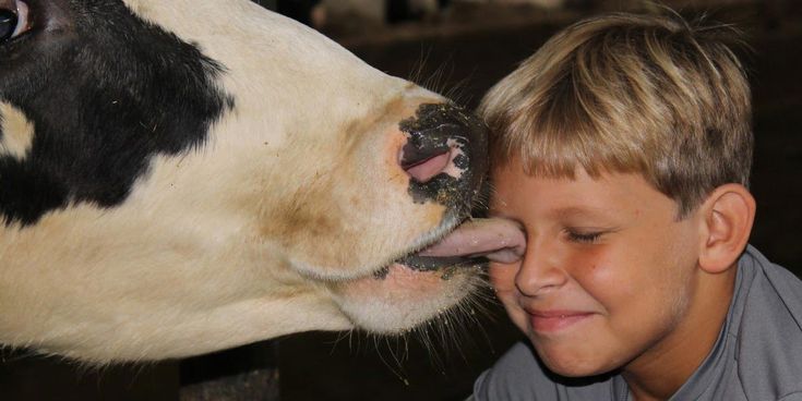 3rd grade -field trip -dairy