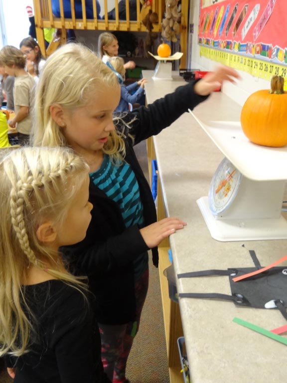 3rd Grade -Kindergarten buddies -weighing pumpkin