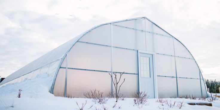 Hoophouse Winter