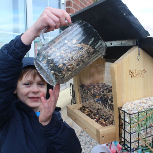 Boy Pouring Bird Seed