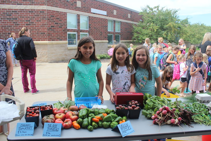 Farm Market 4th grade