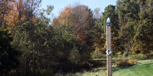 frisbee/disc golf