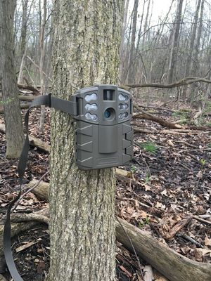 TrailCam