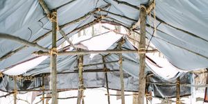 Longhouse Winter