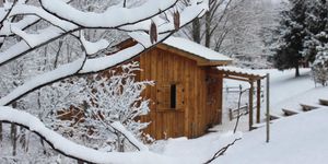 Snowy WoodShED
