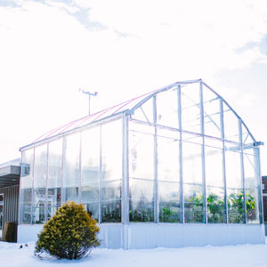 Winter Greenhouse