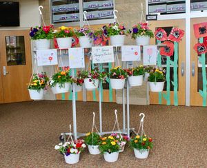 Hanging Baskets