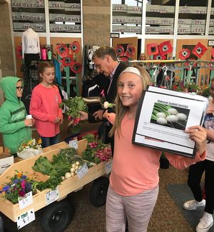 Turnip Sale 4th Grade