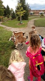 Preschool Goats